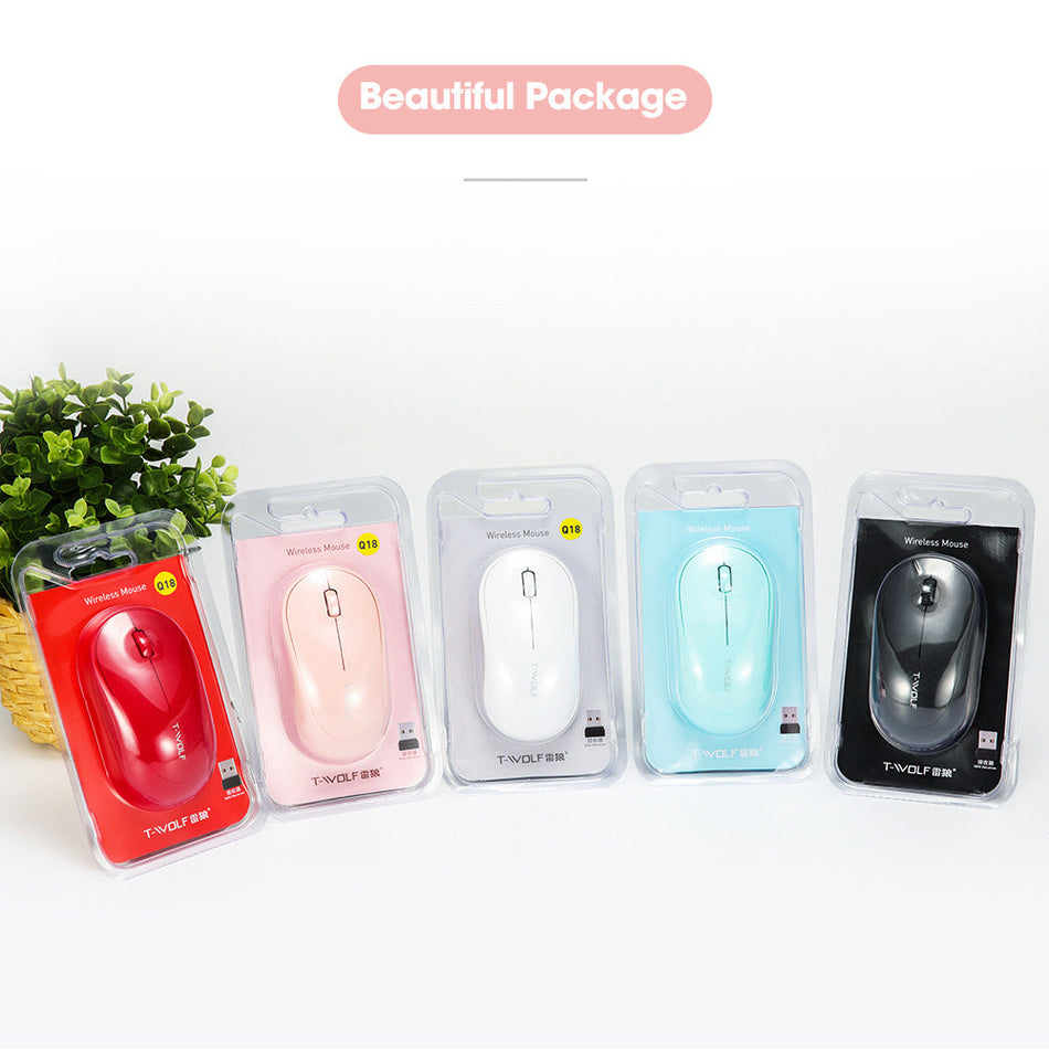 Portable Wireless Mouse for Laptop and Office Use