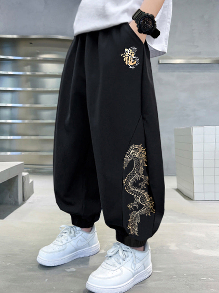 Boys Summer Casual Pants Dragon Theme Quick-Dry Sports Trousers