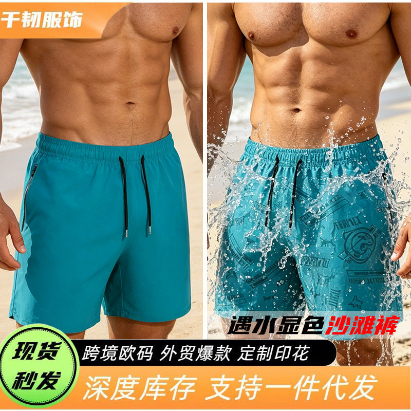 Men's Quick Dry Beach Sports Shorts Loose Fit Summer Shorts