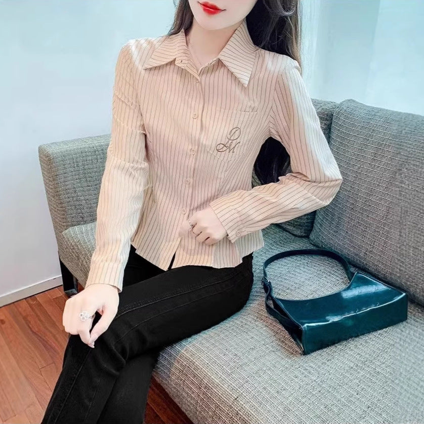 Women's Embroidered Blue Striped Slim Fit Long Sleeve Shirt