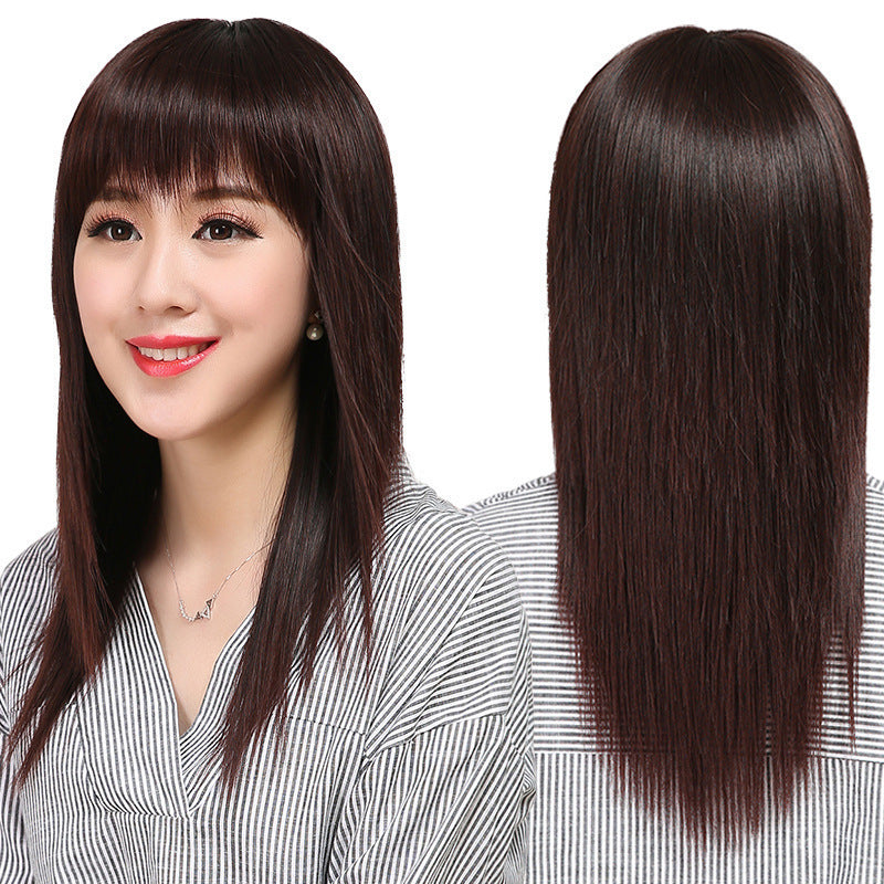 Black Long Straight Synthetic Wig for Women Full Head Cover