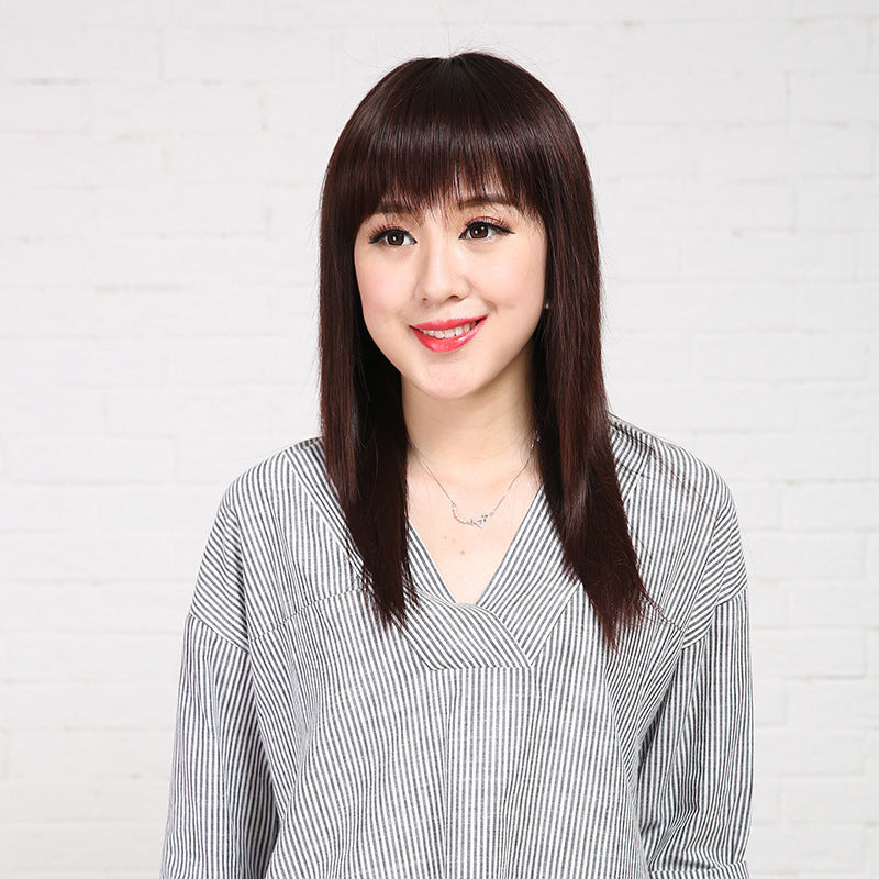 Black Long Straight Synthetic Wig for Women Full Head Cover