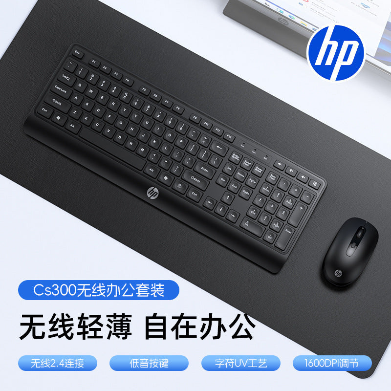 HP CS300 Wireless Keyboard and Mouse Combo for Office Use
