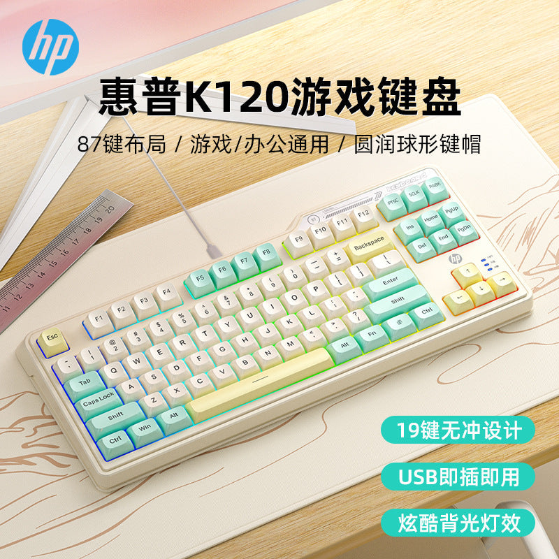 HP K120 Wired 87 Key Gaming Keyboard with RGB Backlight