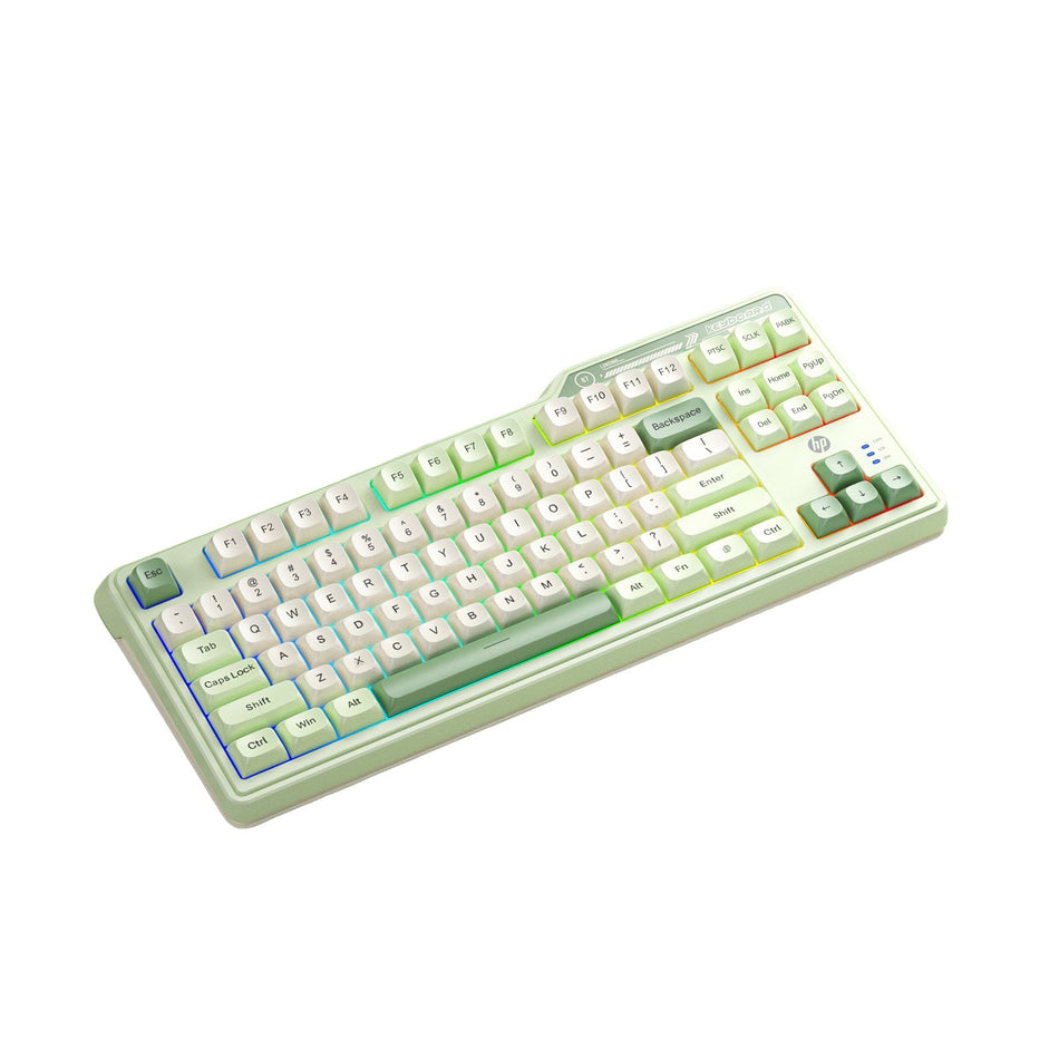 HP K120 Wired 87 Key Gaming Keyboard with RGB Backlight