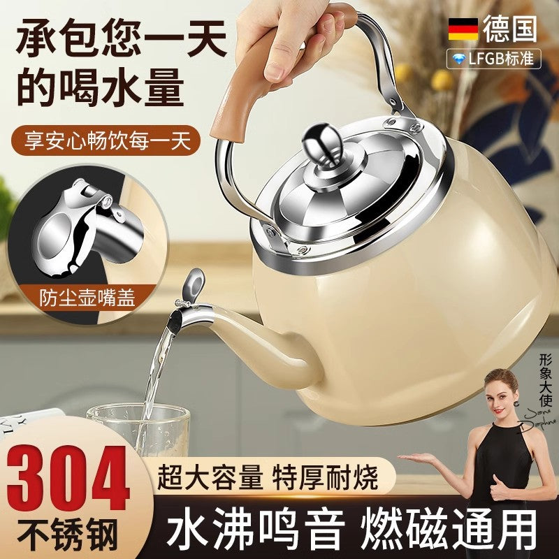 Double Success 304 Food Grade Whistling Kettle - Large