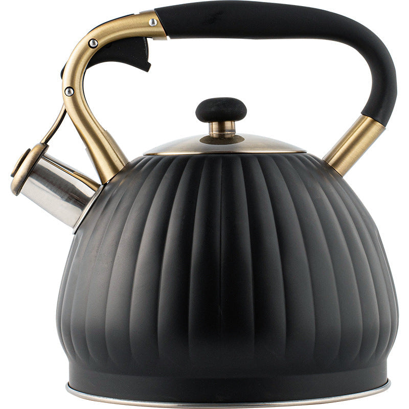 Ruyihoff Black Pumpkin Whistling Kettle - 3.5L