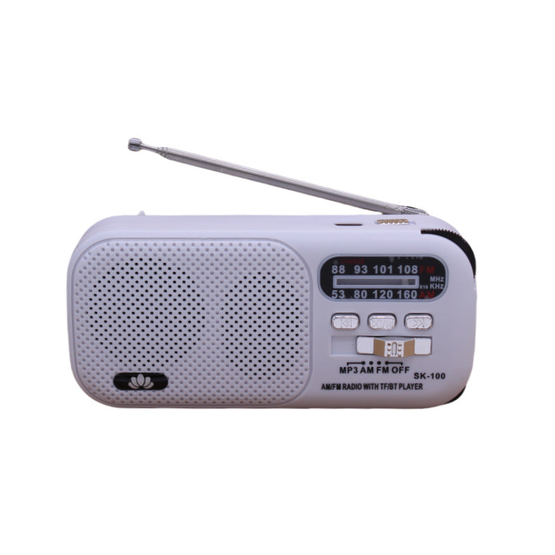Portable Bluetooth FM Radio MP3 Player with Built-In Speaker