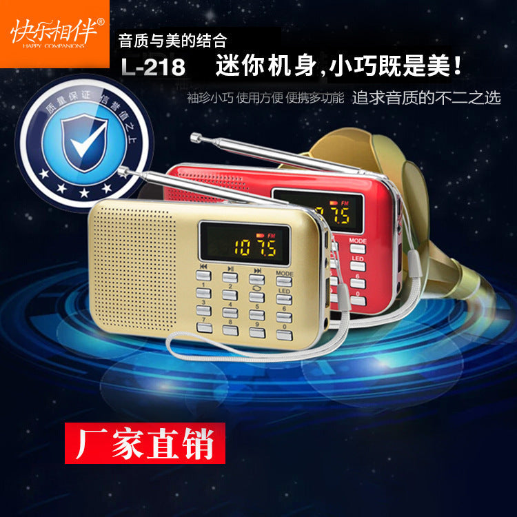 Portable Digital FM Radio MP3 Player with USB, TF Card & Display