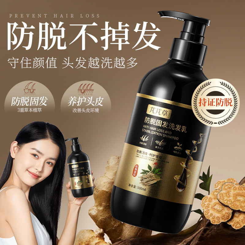 Ginger Polygonum Anti-Hair Loss Shampoo, 500ml