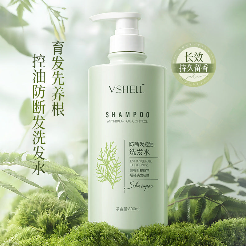 Zhibei Anti-Breakage Refreshing Oil Control Shampoo, 800ml