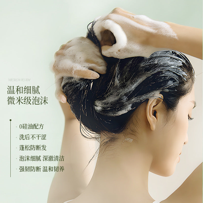 Zhibei Anti-Breakage Refreshing Oil Control Shampoo, 800ml
