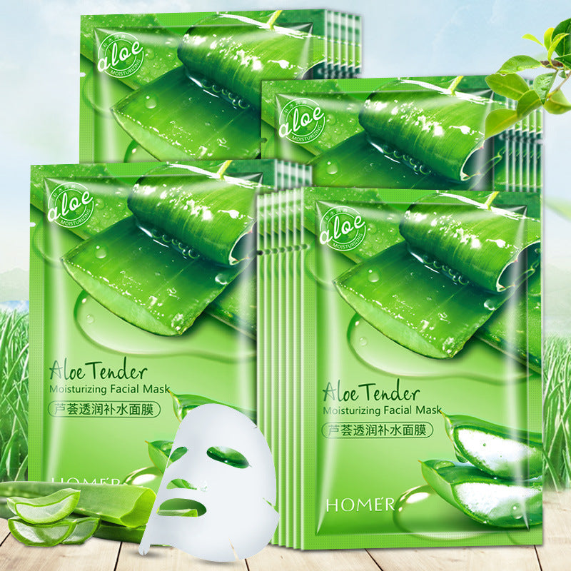 Aloe Moisturizing Face Mask Skincare Set