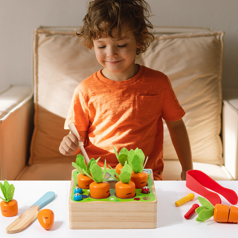 4-in-1 Wooden Carrot & Fruit Cutting Toy Set