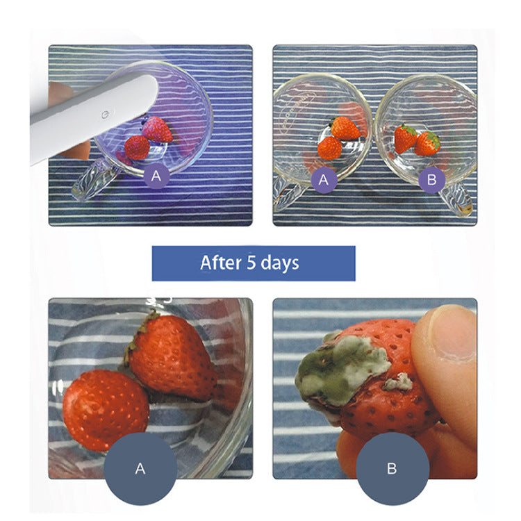 Portable Deep UVC Handheld Disinfection Stick