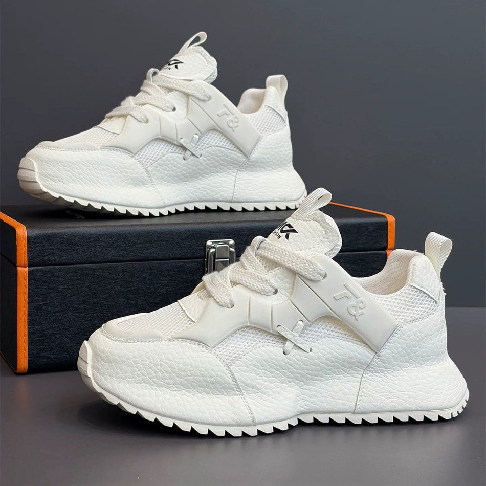 Men's Summer Mesh Dad Sneakers Breathable Platform Casual Shoes