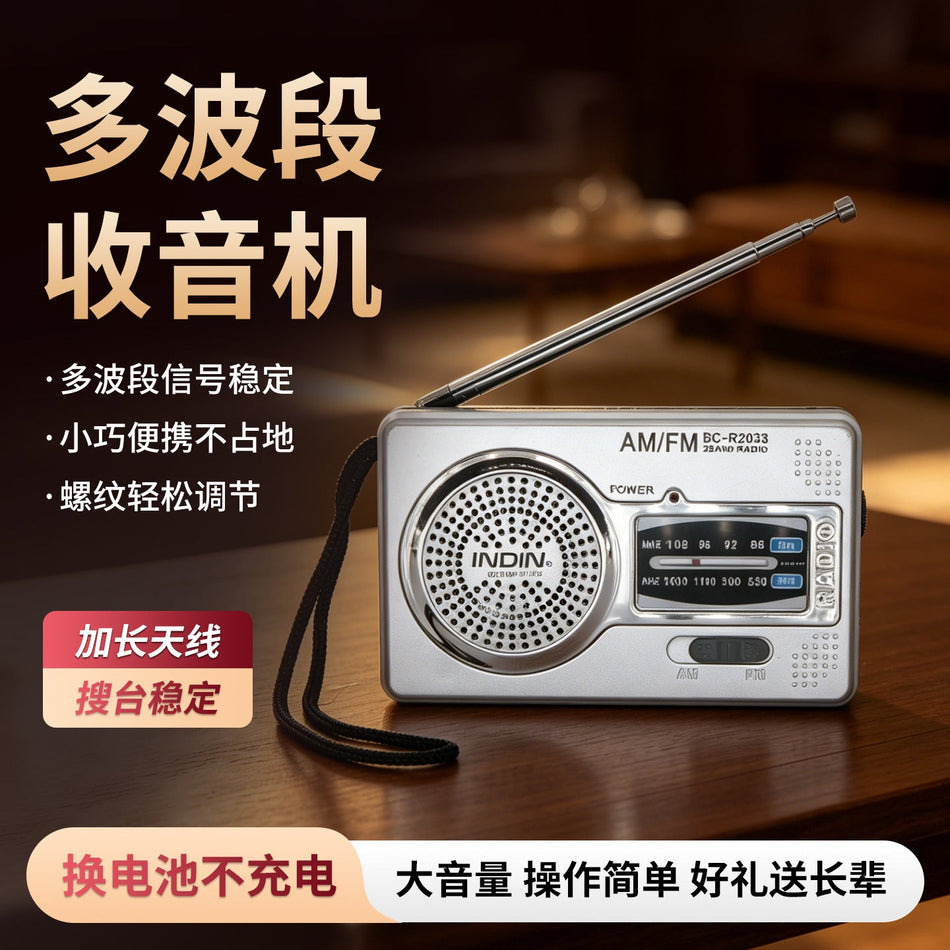 Customized Two-Band FM AM Retro Radio Portable Manual Search