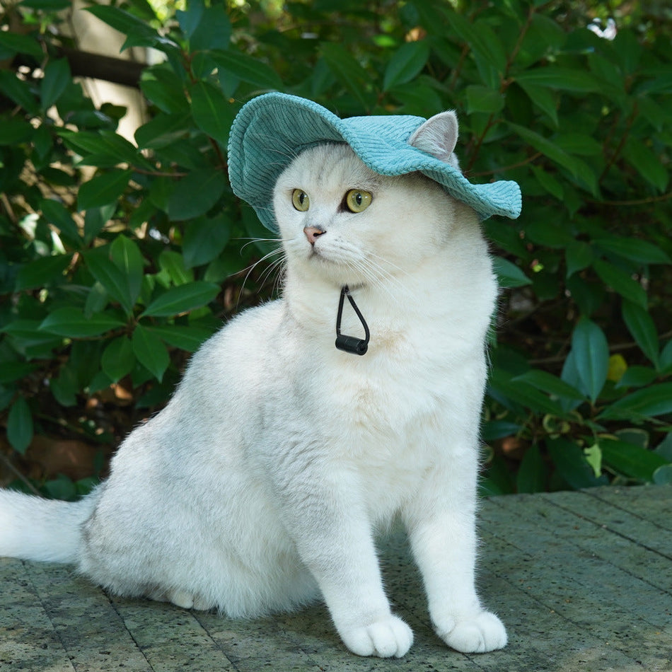 Pet Sun Hat, Cat and Dog Fisherman and Baseball Cap Styles