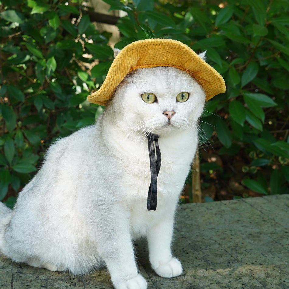 Pet Sun Hat, Cat and Dog Fisherman and Baseball Cap Styles