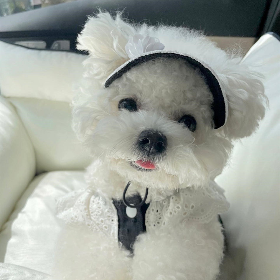 Pet Sun Hat, Chic Color-Contrast Dog Hat