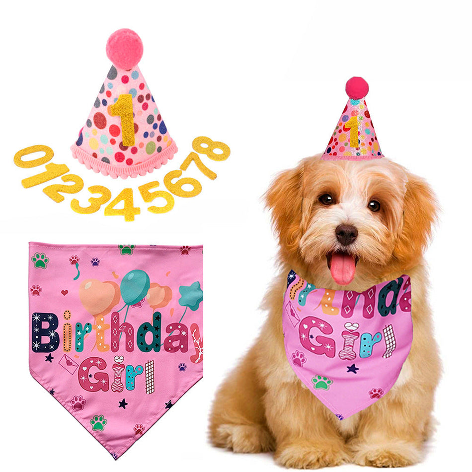Pet Party Hat, Colorful Polka Dot Birthday Decoration