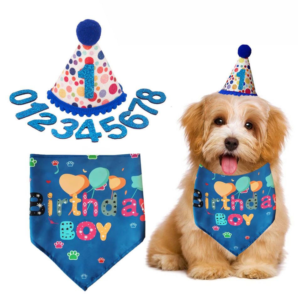 Pet Party Hat, Colorful Polka Dot Birthday Decoration