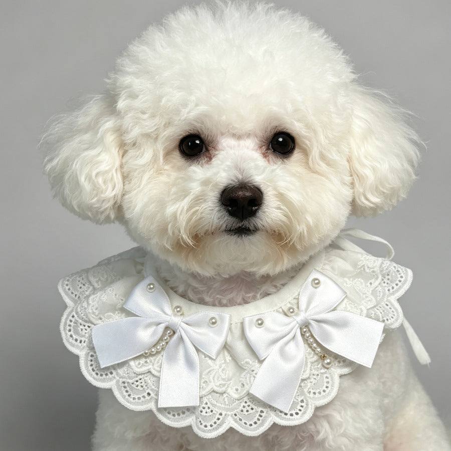 Pet Saliva Bib, Bowknot Lace Trim Princess Style Scarf