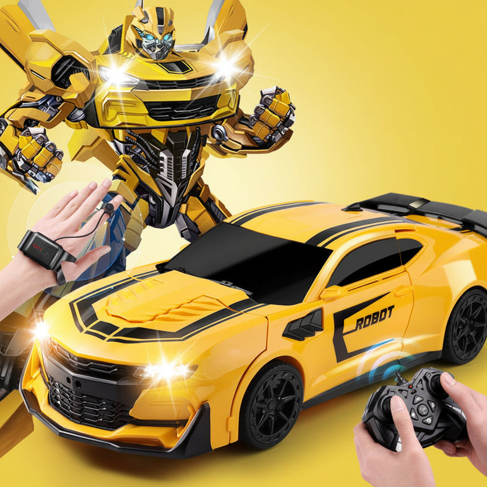 Voice Control Transforming Robot RC Wasp Racing Car