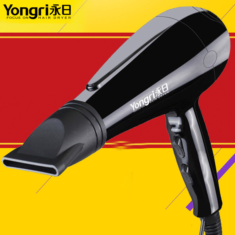 Professional Hair Dryer 1700W with Hot and Cold Air Control