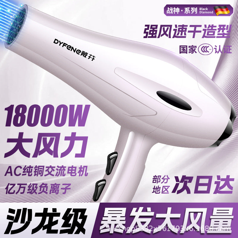 2200W Professional Hair Dryer with Hot Cold Air Settings