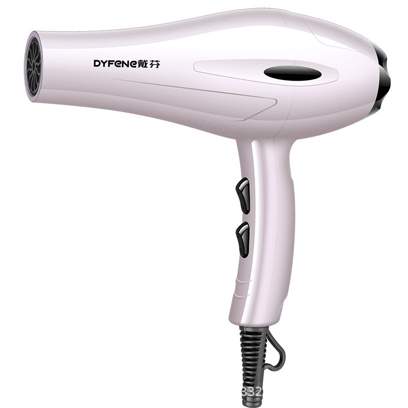 2200W Professional Hair Dryer with Hot Cold Air Settings