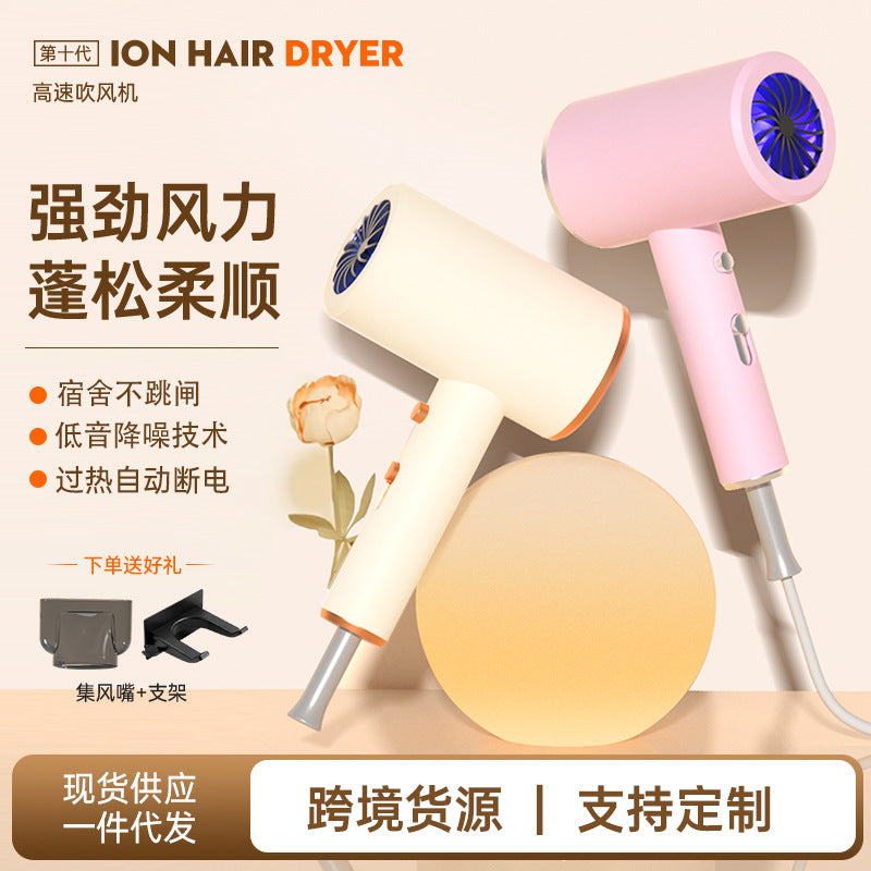 DGL-610 Hair Dryer with 4-Speed Hot Cold Air Settings