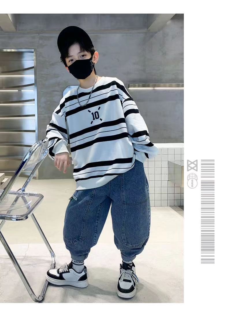 Boys Striped Cotton Pullover Sweatshirt, Zebra Stripe Pattern