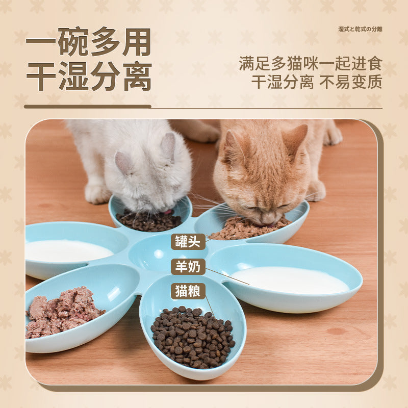 Petal Multi-Cat Food Bowl for Cats, Puppies & Stray Pets