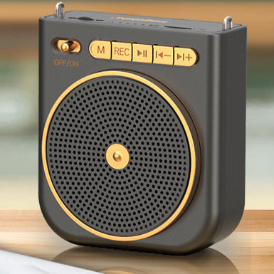 Bee Wireless Microphone – High-Volume Teacher Mic