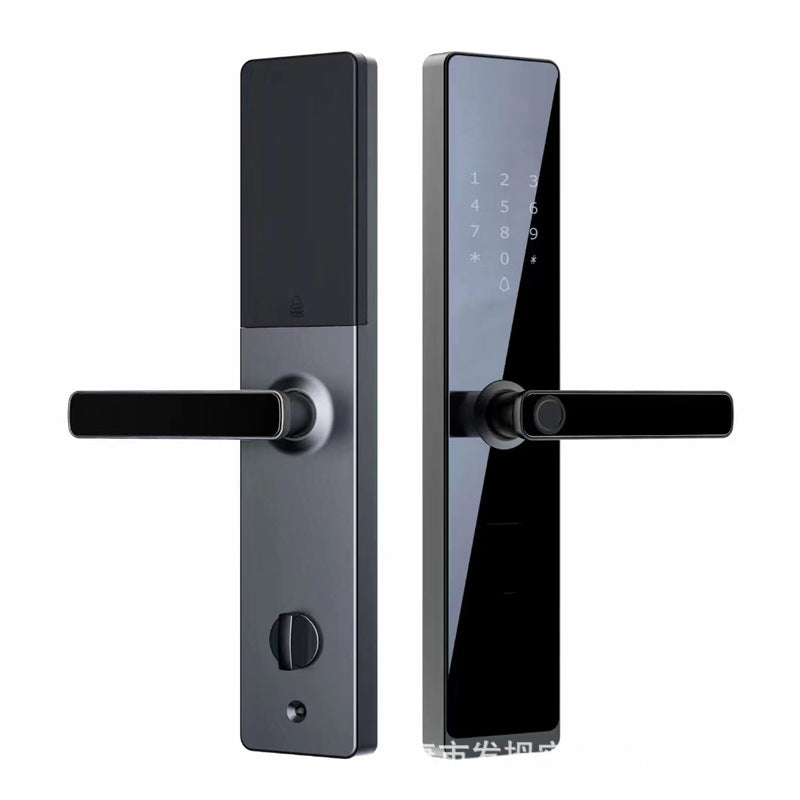 TTLOCK Fingerprint Smart Door Lock with Card & Password