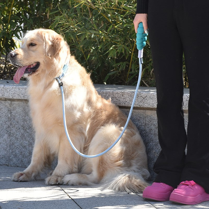 Explosion-Proof Dog Leash P-Chain for Medium-Sized Dogs