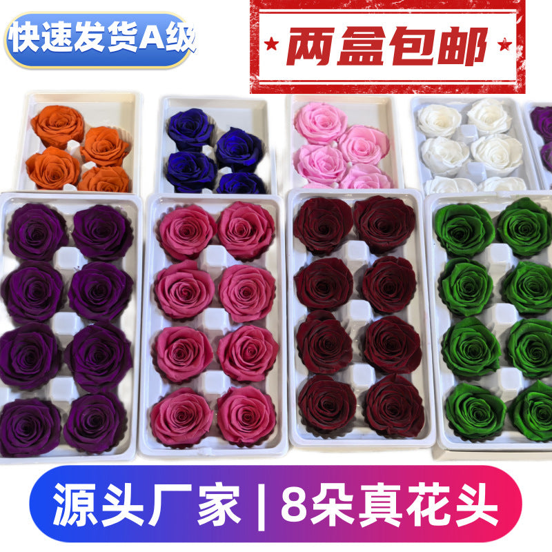 Preserved Rose Flower Heads 8-Piece DIY Wholesale Set