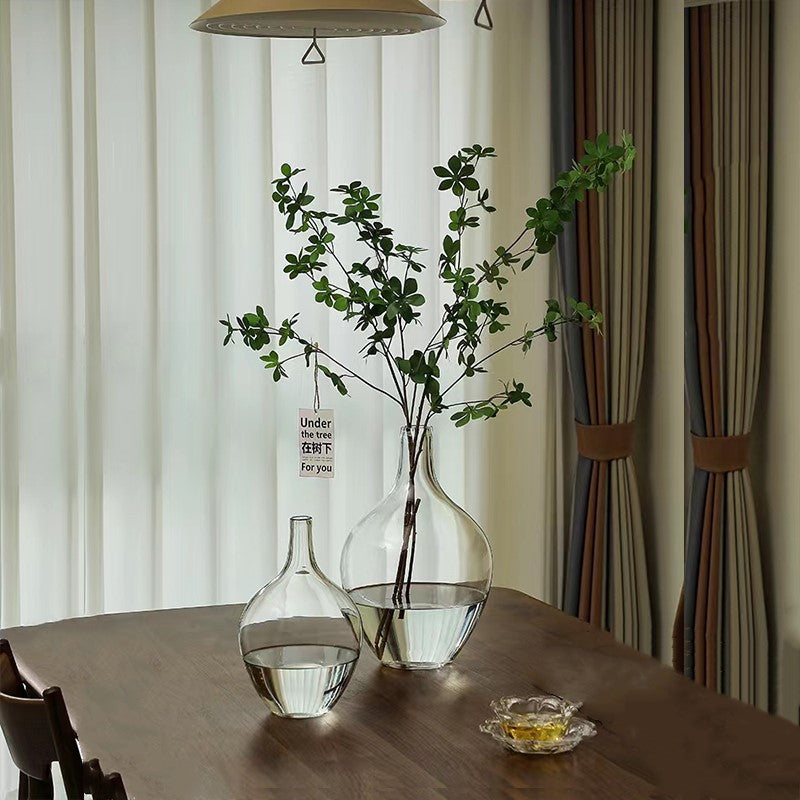 Nordic Big Belly Transparent Glass Vase – Fashionable