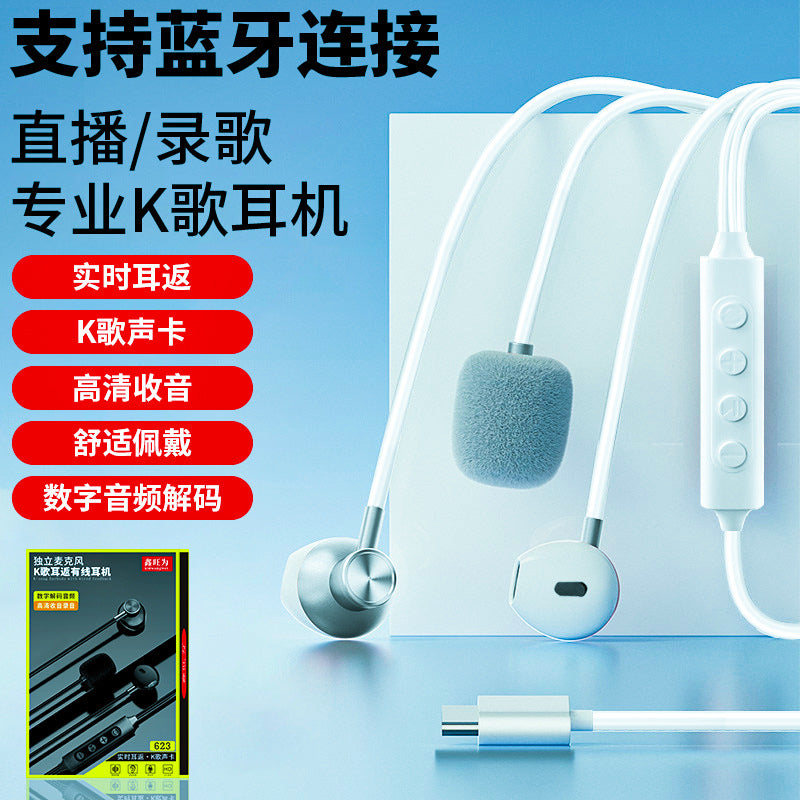 Professional Wired Karaoke In-Ear Headset with Mic