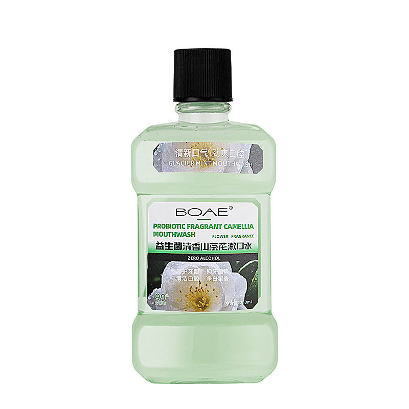 250ml Mint Flavor Cleansing Mouthwash