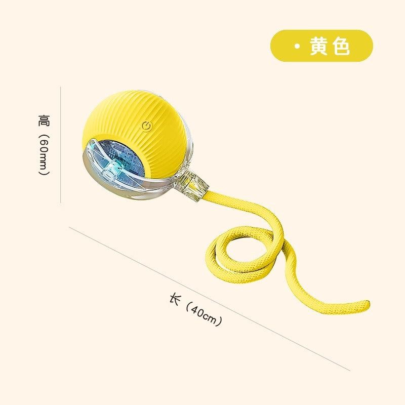 Automatic Electric Dog Walking Ball | Self-Play Pet Toy