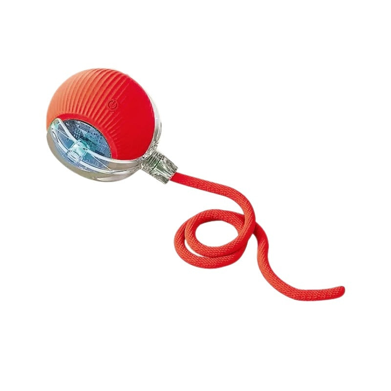 Automatic Electric Dog Walking Ball | Self-Play Pet Toy