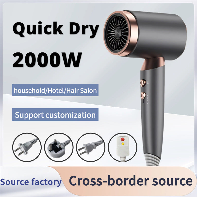 High Power Hair Dryer – Ion Care for Salon & Home
