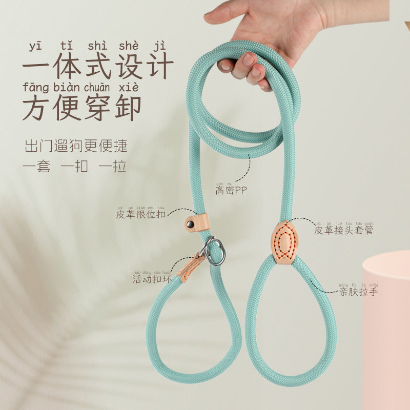 Explosion-Proof Thick P-Rope Dog Leash for All Sizes