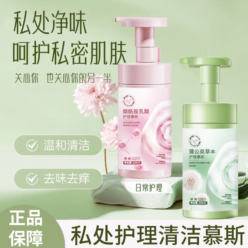 Gentle Feminine Care Mousse Wash with Deodorant