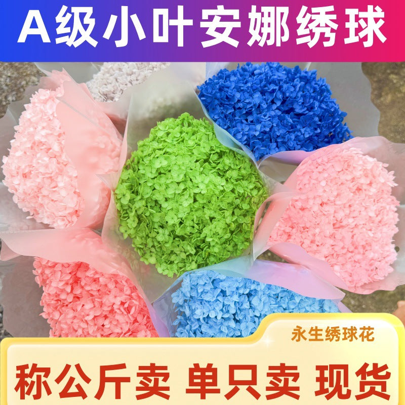 Grade A Anna Eternal Hydrangea Single Stem Dried Flower Art