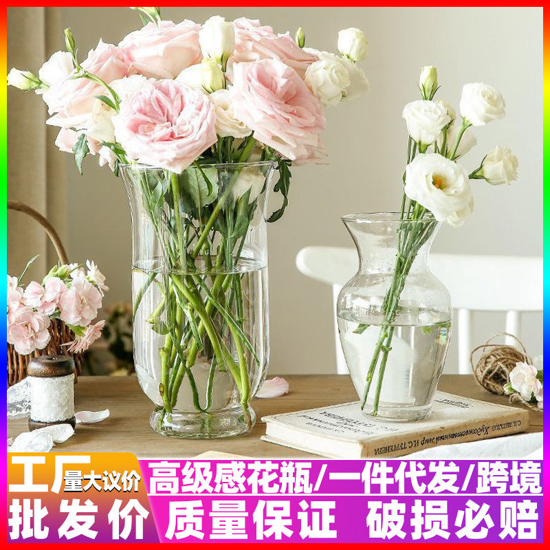 Transparent Glass Vase for Flowers & Home Decor
