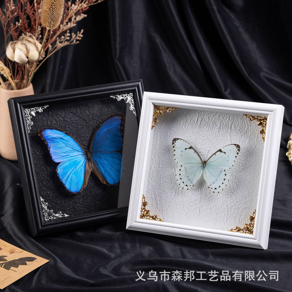 3D Hollow Butterfly Specimen Photo Frame – DIY Decor