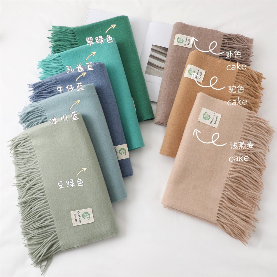 Thickened Pure Wool Feel Korean Style Tassel Shawl Wear Warm